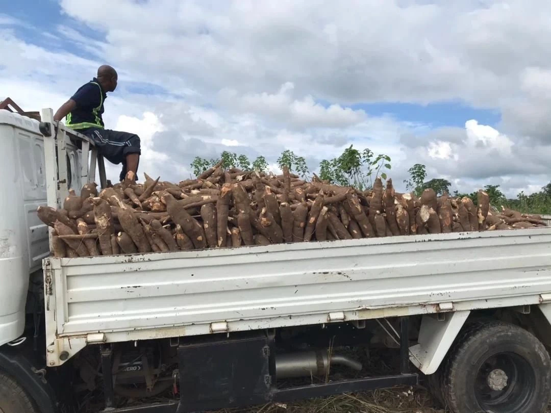 Agro Logistics Company - Verdantis Agro Produce