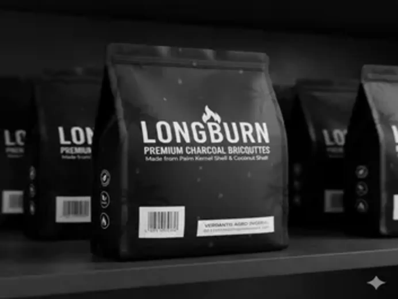 LongBurn: charcoal briquettes in Nigeria from Verdantis Agro