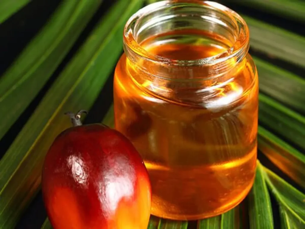 Get the best palm kernel oil price in Nigeria - Verdantis Agro