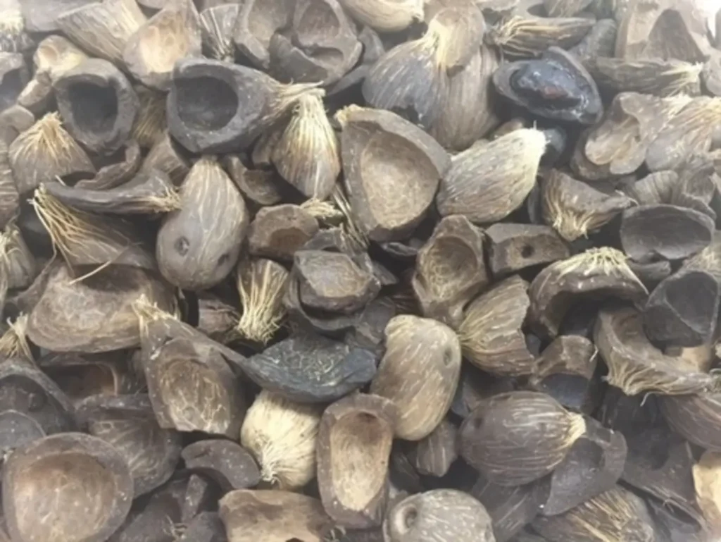 Best Bulk Palm Kernel Shell Price in Nigeria