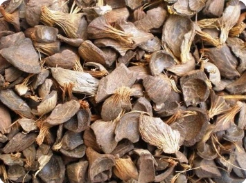 Best Bulk Palm Kernel Shell Prices in Nigeria
