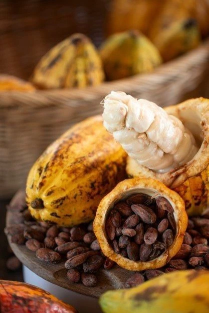 Get the best cocoa price in Nigeria with Verdantis Agro