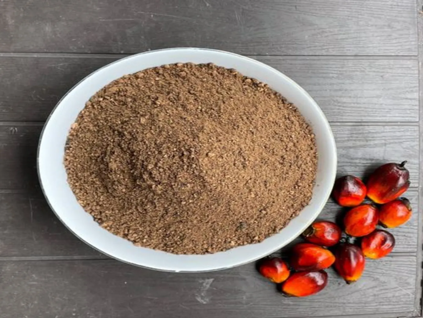 Palm Kernel Cake Supplier - Verdantis Agro