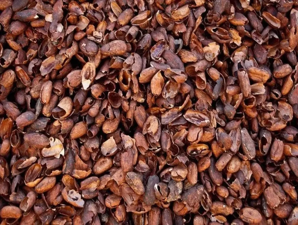 Cocoa Shells - Verdantis Agro
