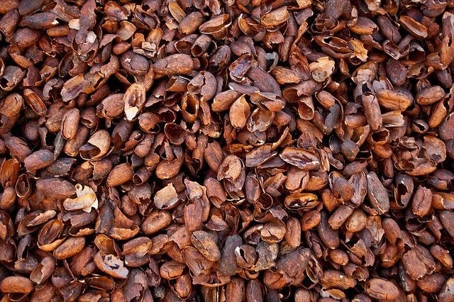Trusted Cocoa Shell Suppliers - Verdantis Agro