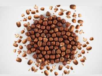Verdantis Agro Cracked Palm Kernel Nuts in Bulk