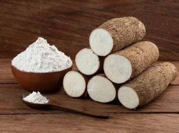 Industrial Cassava Starch - Verdantis Agro
