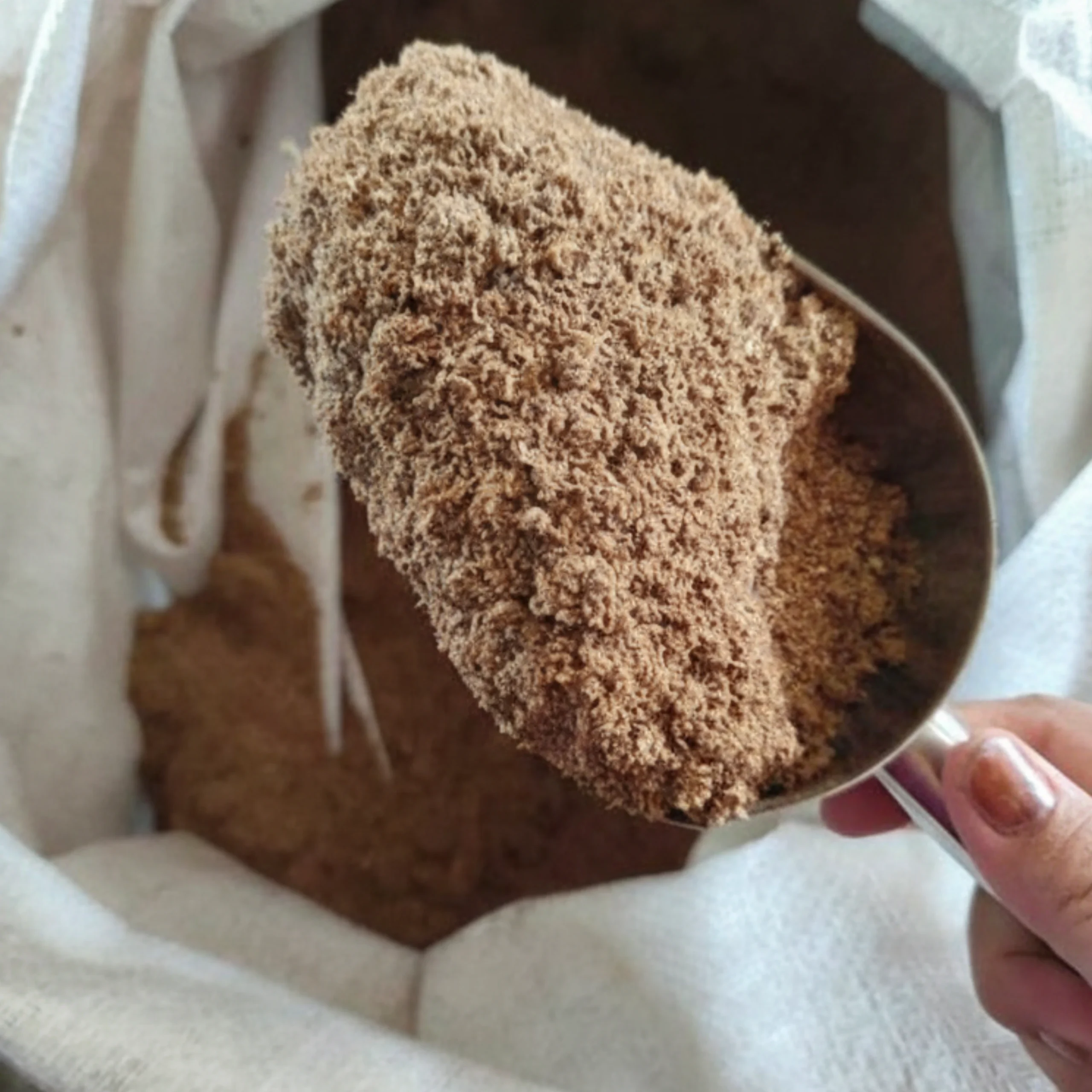 Palm Kernel Cake Supplier - Verdantis Agro