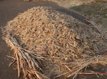 Palm Kernel Cake Supplier - Verdantis Agro