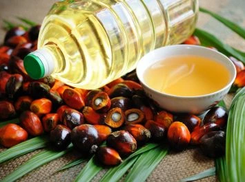 Get the best palm kernel oil price in Nigeria - Verdantis Agro