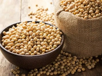 Soybeans in Nigeria For Wholesale and Export Supply - Verdantis Agro