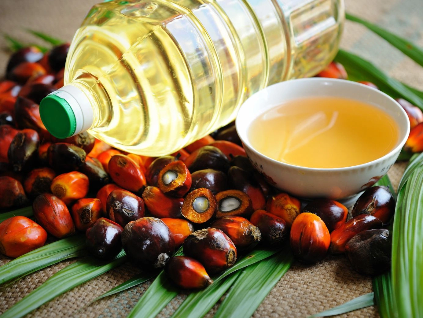 Best Palm Kernel Oil Price in Nigeria