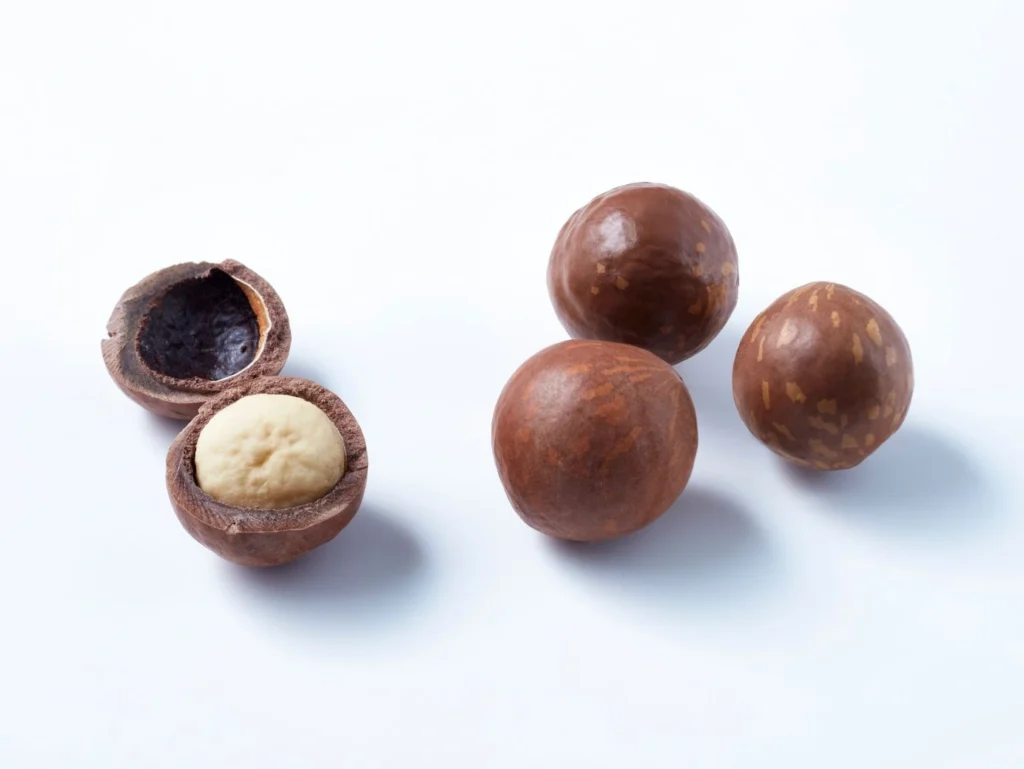 Bulk shea nut price in Nigeria