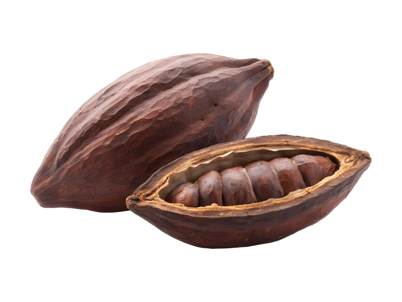 Cocoa price in Nigeria for large buyers - Verdantis Agro