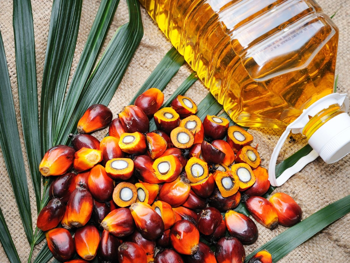 Palm Kernel Oil Price in Nigeria