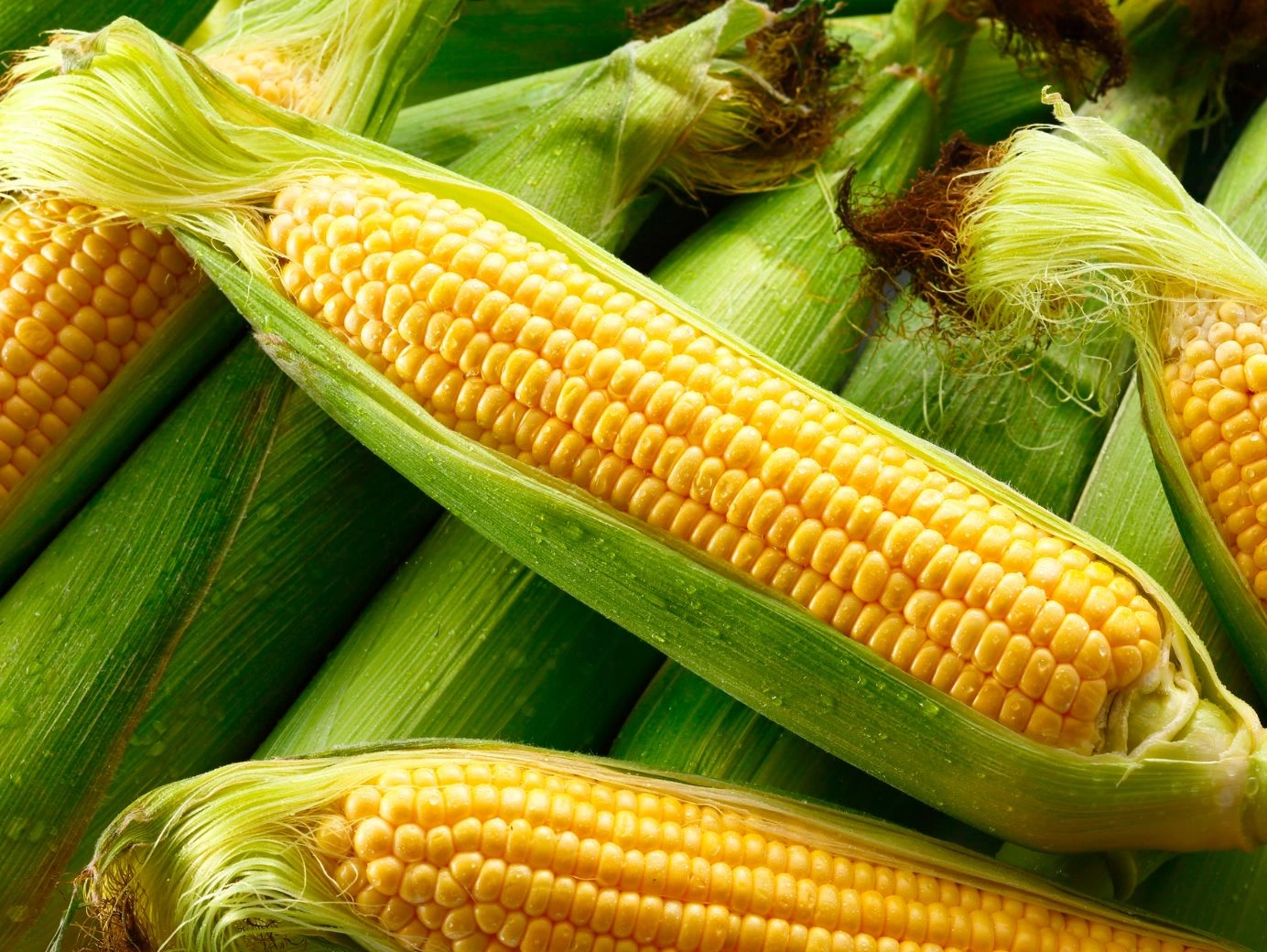 Price of Maize in Nigeria