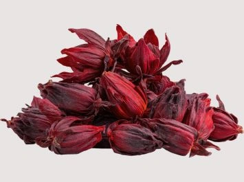 Verdantis Agro Hibiscus