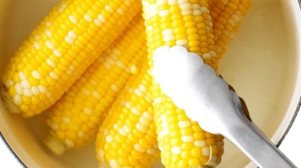 Yellow Maize - Maize Varieties in Nigeria