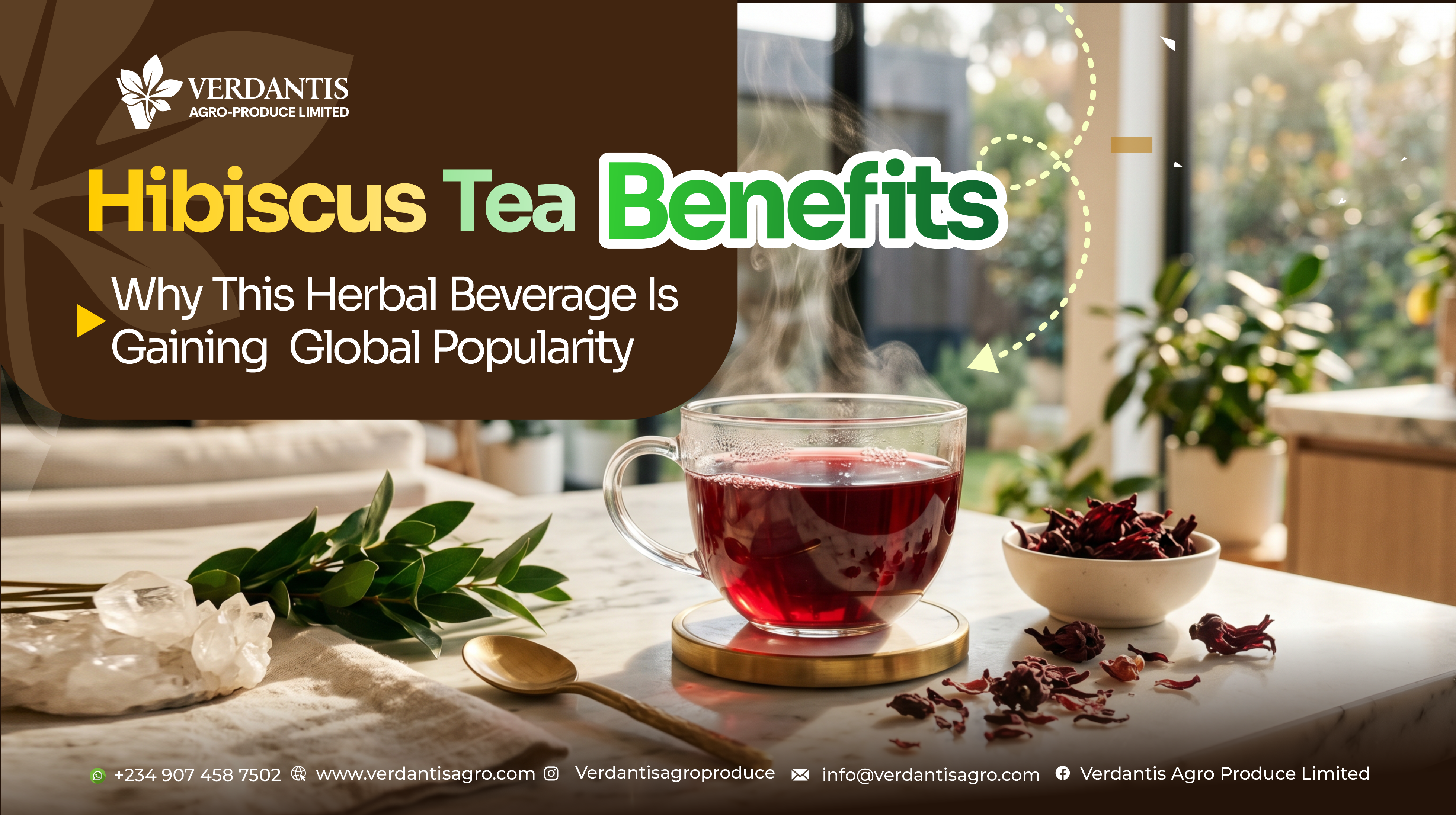 Hibiscus-Tea-Benefits-Verdantis_Agro
